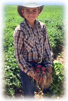 Salazar Farms is a 5th Generation farming operation